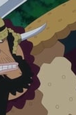 One Piece Season 18 Episode 797 - Poster