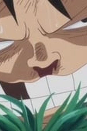 One Piece Season 19 Episode 811 - Poster