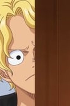 One Piece Season 20 Episode 888 - Poster