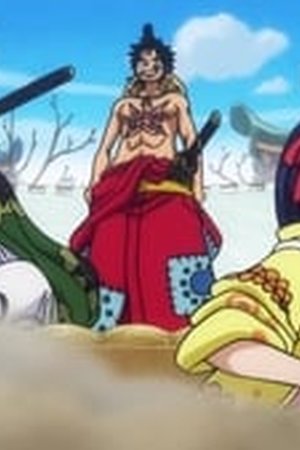 One Piece Season 21 Episode 904 - Poster