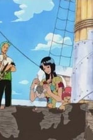 One Piece Season 6 Episode 144 - Poster