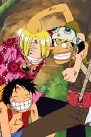 One Piece Season 6 Episode 164 - Poster