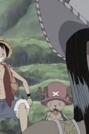 One Piece Season 6 Episode 190 - Poster