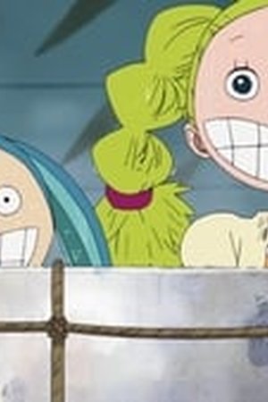 One Piece Season 9 Episode 311 - Poster