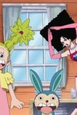 One Piece Season 9 Episode 314 - Poster