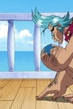 One Piece Season 9 Episode 324 - Poster