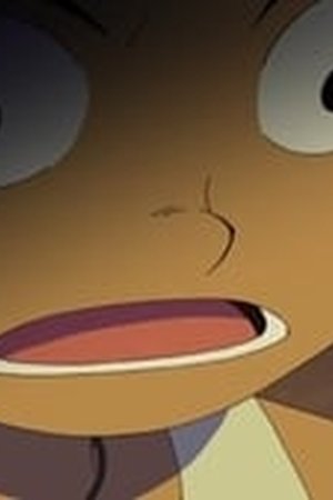 One Piece Season 9 Episode 328 - Poster