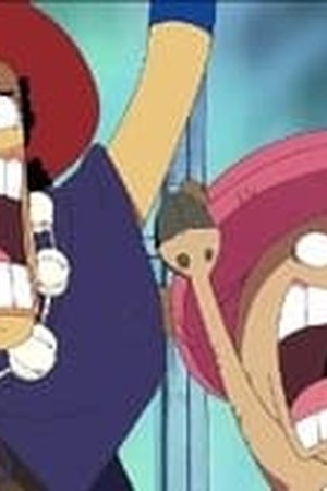 One Piece Season 10 Episode 341 - Poster