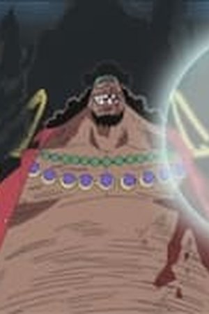 One Piece Season 13 Episode 486 - Poster