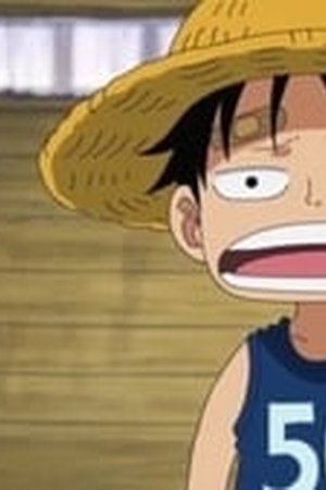 One Piece Season 13 Episode 493 - Poster