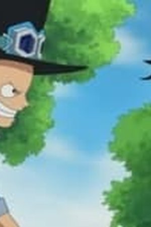 One Piece Season 13 Episode 494 - Poster