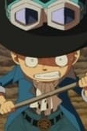 One Piece Season 13 Episode 495 - Poster