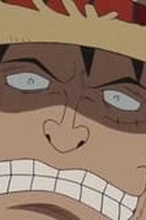 One Piece Season 13 Episode 517 - Poster