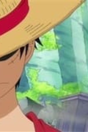 One Piece Season 13 Episode 521 - Poster