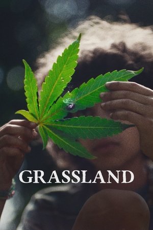 Grassland ( 2025 ) - Poster